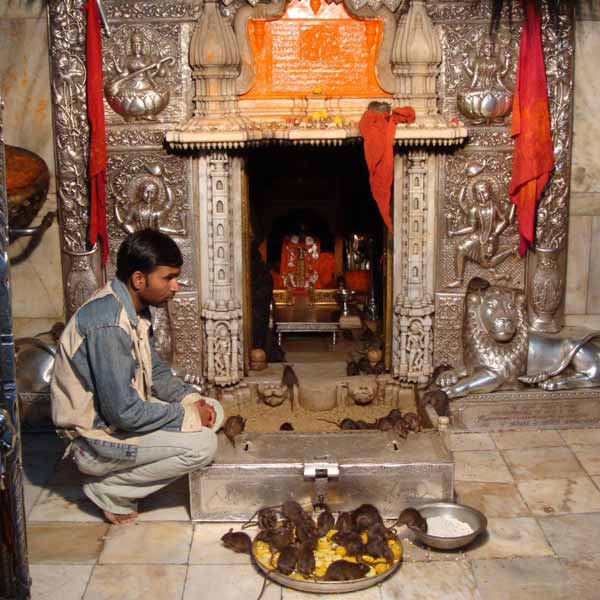 Bikaner Destinations